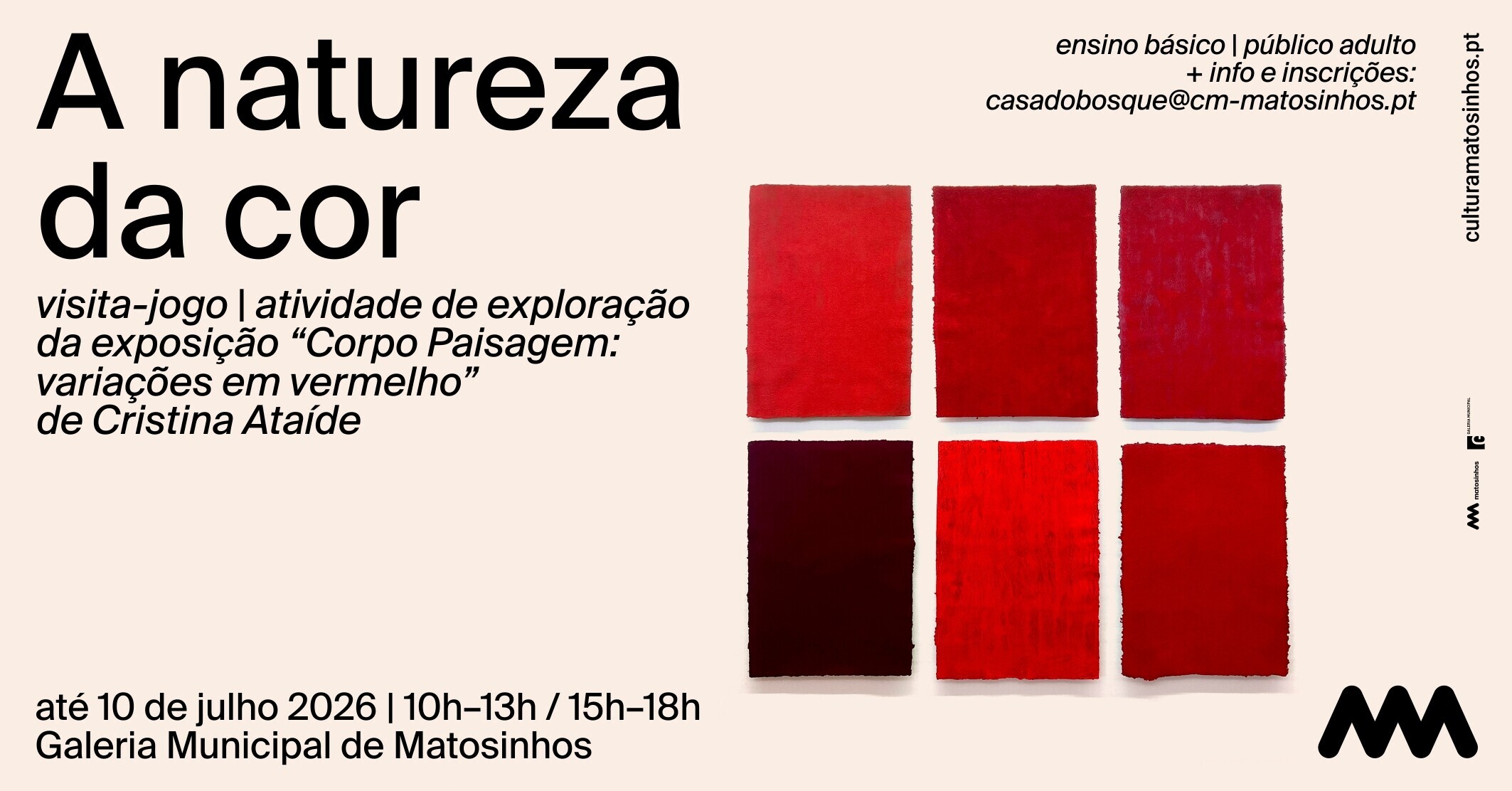 NATUREZA DA COR